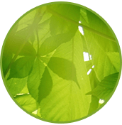 enviromental_consulting