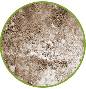 mold_investigation